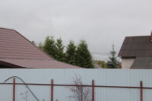 IMG_3589.JPG