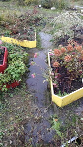 20201023_171730.jpg