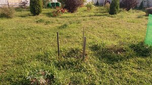 P_20200926_141124.jpg