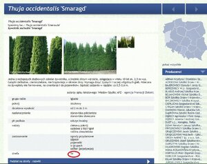 Смарагд.jpg