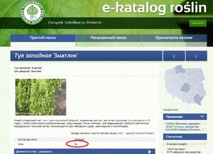 Зматлик-1.jpg