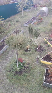 20201027_134856.jpg