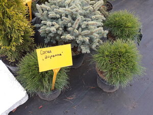 20201016_114621.jpg