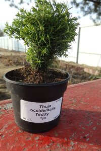 е3.jpg