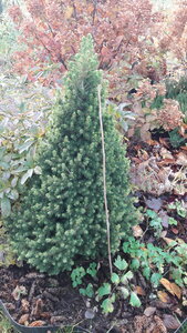 20201028_150529.jpg