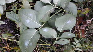 20201025_152656.jpg