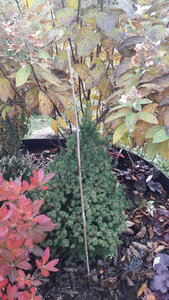 20201028_150609.jpg