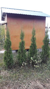 20201028_151014.jpg