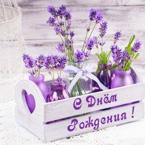 elektronnaya-otkrytka-s-dnem-rozhdeniya-zhenschine-besplatno.jpg