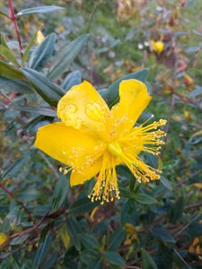 IMG_20201031_124337.jpg