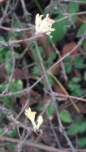 20201031_132955.jpg