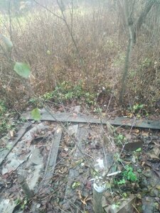 IMG_20201103_075434.jpg
