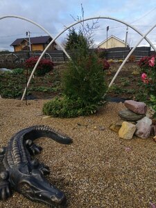 IMG_20201024_112802.jpg