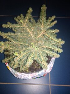 IMG_20201105_152128.jpg