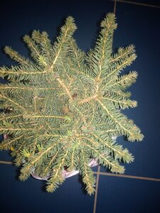 IMG_20201105_152139.jpg