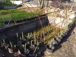 IMG_20201108_125652.jpg