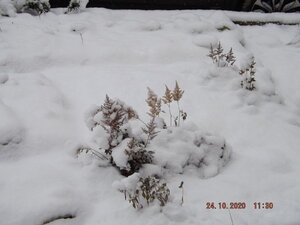 DSCF9677.JPG