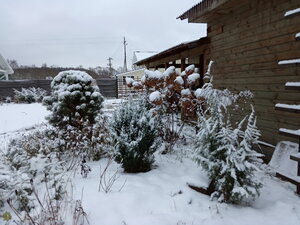 IMG_20201123_085012.jpg