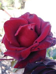 IMG_20201015_092946.jpg