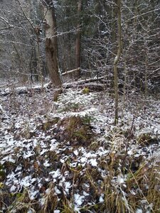 IMG_20201129_120020.jpg