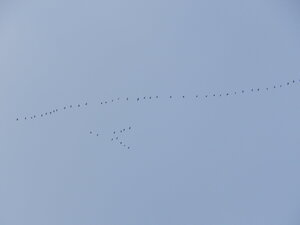 DSCN4077.JPG