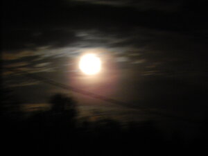 DSCN4027.JPG