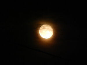 DSCN4029.JPG