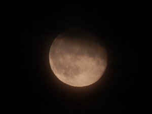 DSCN4031.JPG