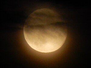 DSCN4032.JPG