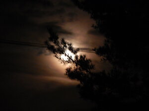 DSCN4036.JPG