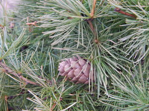 DSCN4087.JPG