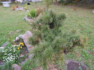 DSCN4088.JPG