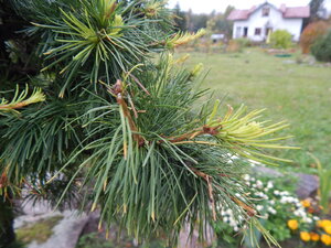 DSCN4089.JPG
