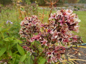 DSCN4104.JPG