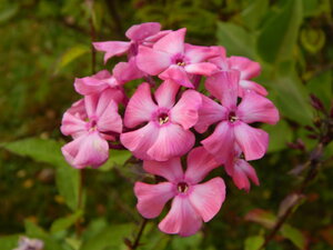 DSCN4146.JPG