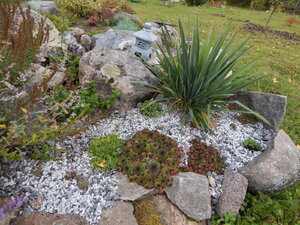 DSCN4119.JPG
