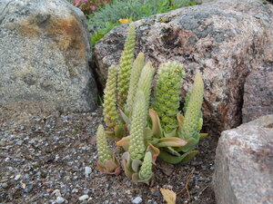 DSCN4121.JPG