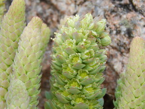 DSCN4122.JPG