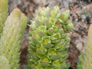 DSCN4123.JPG