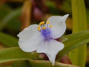 DSCN4090.JPG