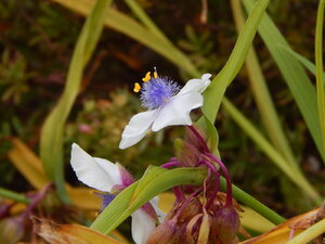 DSCN4091.JPG