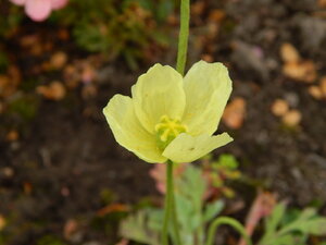 DSCN4095.JPG