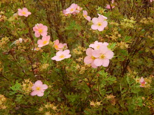 DSCN4096.JPG
