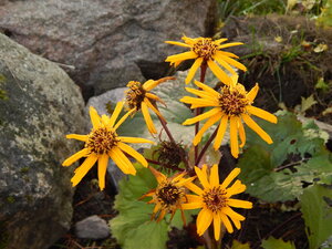 DSCN4149.JPG