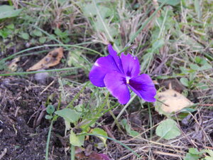 DSCN4016.JPG