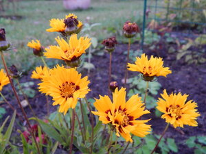 DSCN4021.JPG