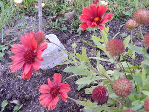 DSCN4022.JPG