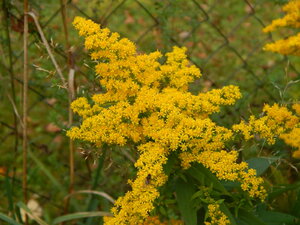 DSCN4144.JPG