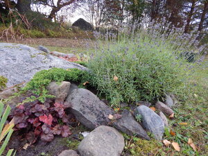 DSCN4052.JPG