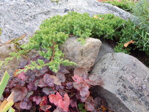 DSCN4053.JPG
